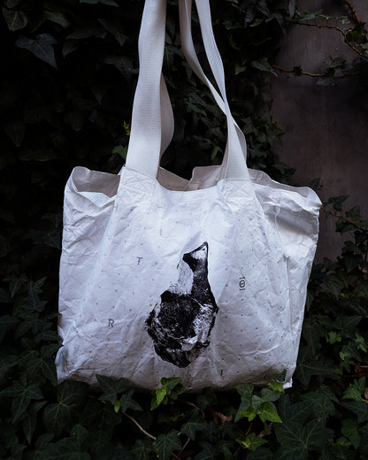 Compartment Tote | Tyvek