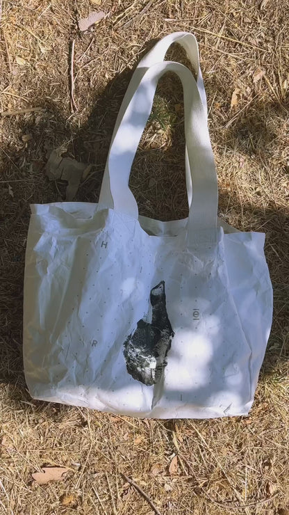 Compartment Tote | Tyvek